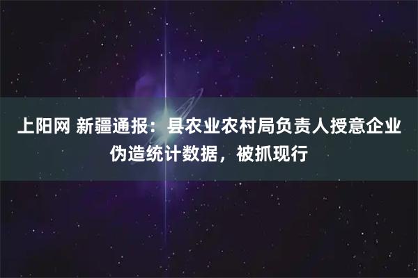 上阳网 新疆通报：县农业农村局负责人授意企业伪造统计数据，被抓现行