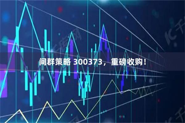 间群策略 300373，重磅收购！