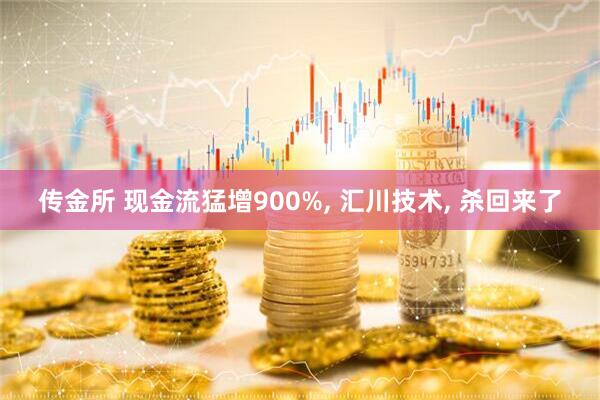 传金所 现金流猛增900%, 汇川技术, 杀回来了