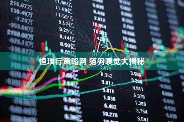 恒瑞行策略网 猫狗嗅觉大揭秘