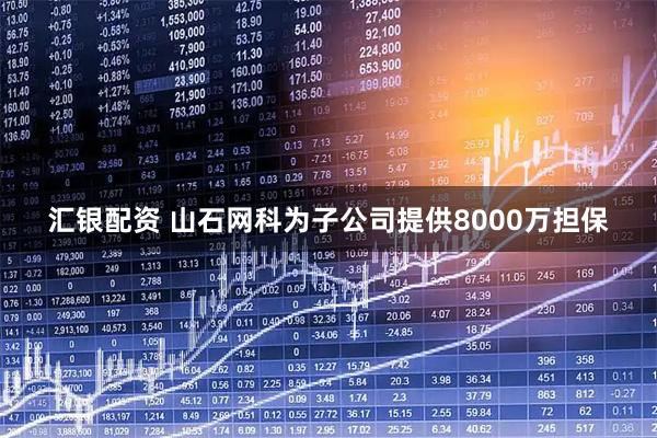 汇银配资 山石网科为子公司提供8000万担保