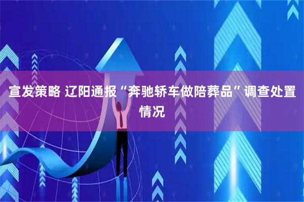宣发策略 辽阳通报“奔驰轿车做陪葬品”调查处置情况